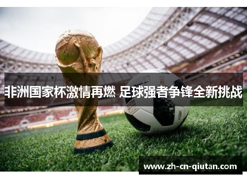 非洲国家杯激情再燃 足球强者争锋全新挑战