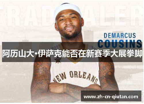 阿历山大·伊萨克能否在新赛季大展拳脚