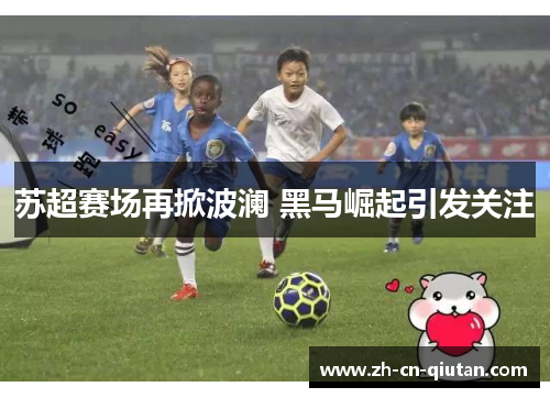 苏超赛场再掀波澜 黑马崛起引发关注